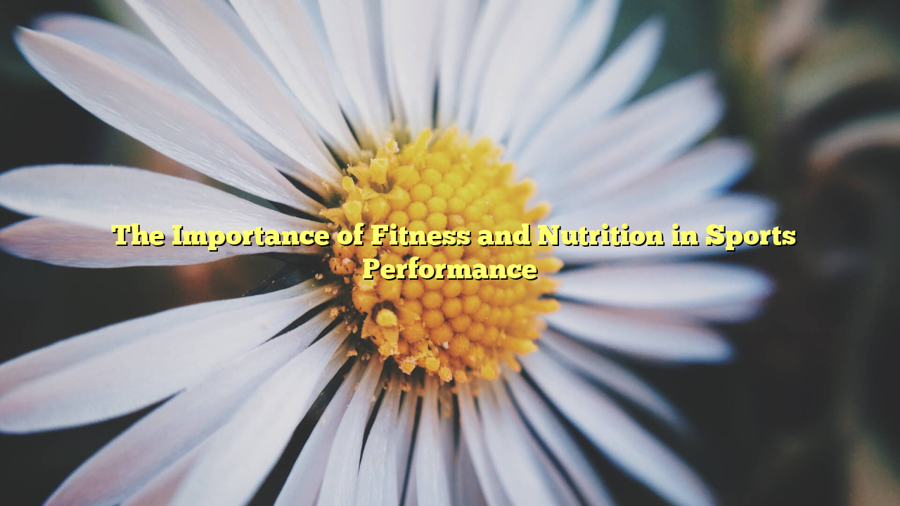 ﻿The Importance of Fitness and Nutrition in Sports Performance