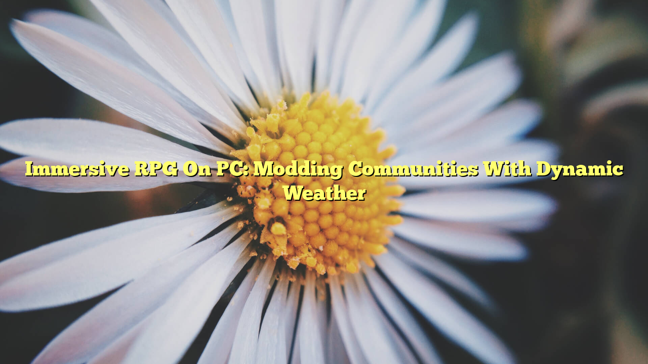 Immersive RPG On PC: Modding Communities With Dynamic Weather