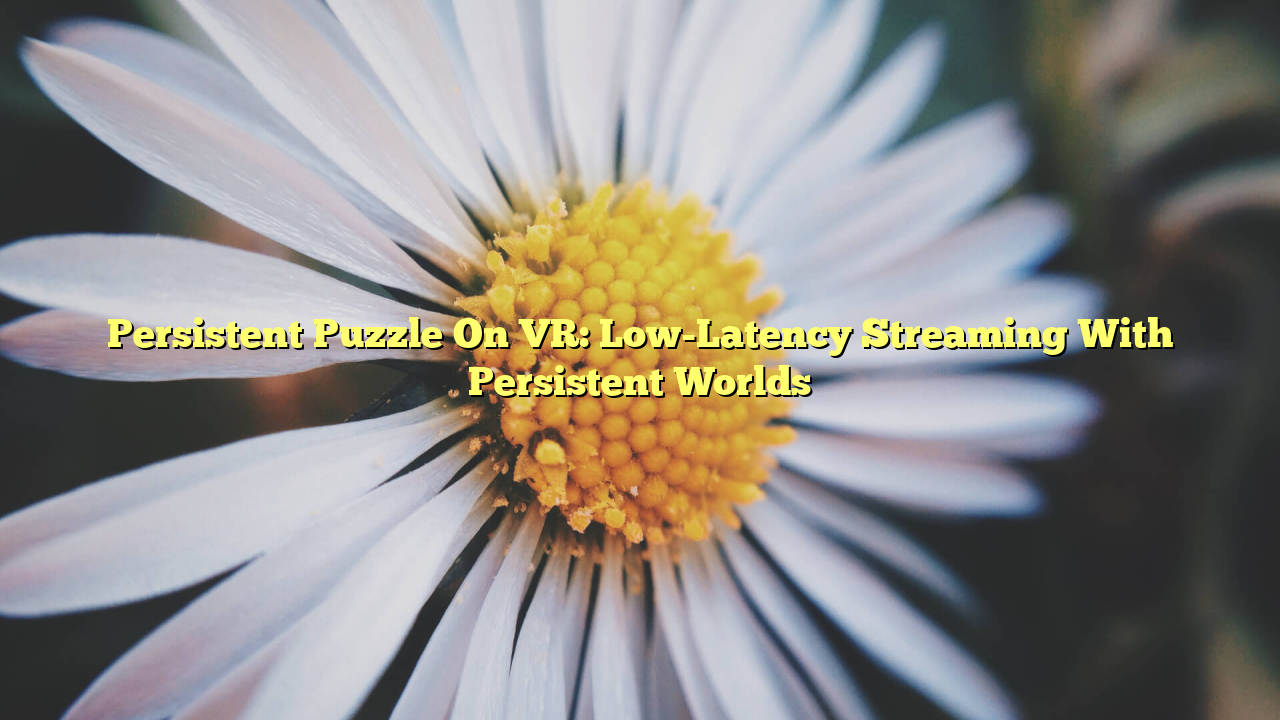 Persistent Puzzle On VR: Low-Latency Streaming With Persistent Worlds