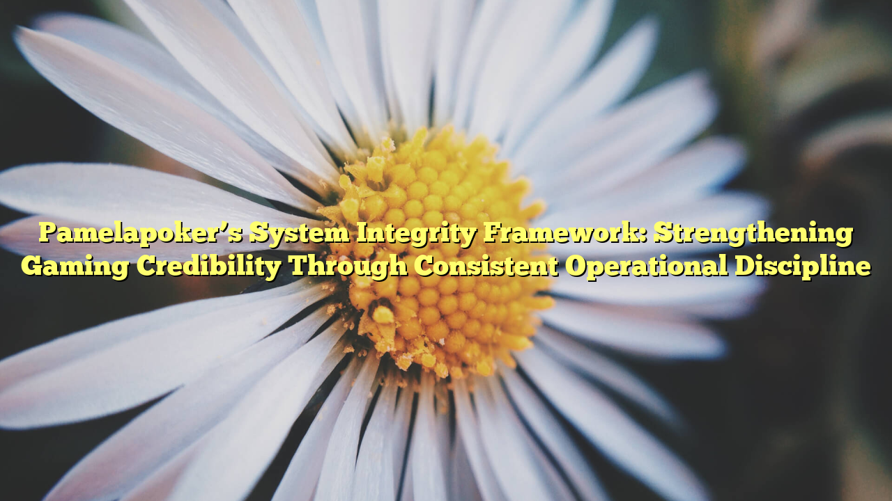 Pamelapoker’s System Integrity Framework: Strengthening Gaming Credibility Through Consistent Operational Discipline