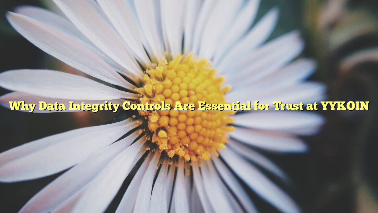 Why Data Integrity Controls Are Essential for Trust at YYKOIN
